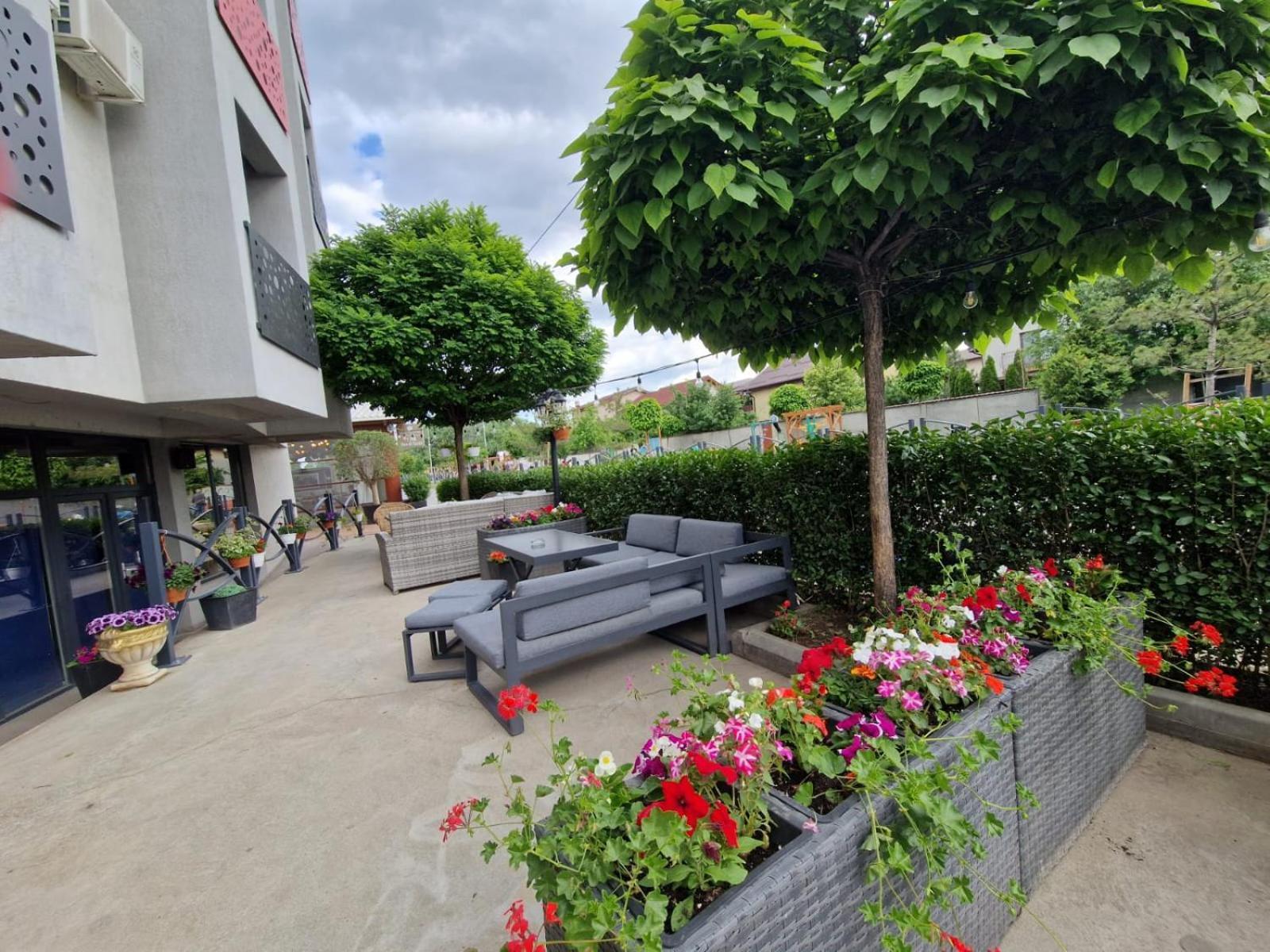 Albert Hotel Roşu Dış mekan fotoğraf